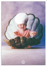 Carte postale Tom Arma BÉBÉ format cpm (coquillage)
