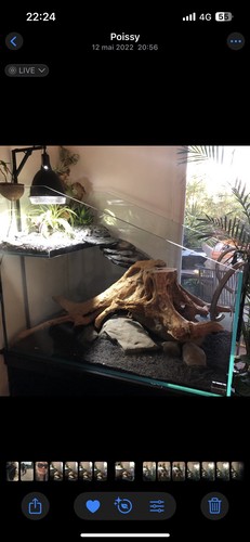 Aquarium avec meuble 500l - aquarium,