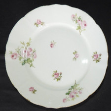 Porcelaine de LIMOGES ca 1900