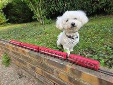 train électrique ho jouef