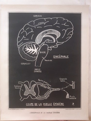 Affiche pedagogique tableau - affiche,