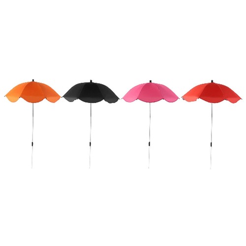 Parapluie plante - parapluie, la