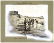 Persia, Chevaux à l'abreuvoir