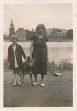 Snapshot Villeneuve-sur-Yonne