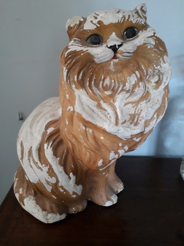 Chat vintage des années - 50, en