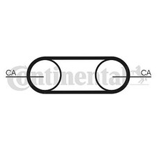 COURROIE DE DISTRIBUTION MG