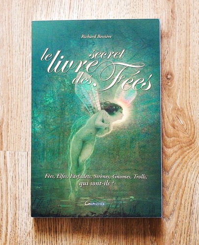 Livre secret des fées r - livre,