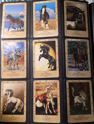 Lot bella sara danish warriors - lot,