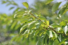 [Testé/N comme neuf] Objectif