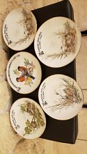 5 assiettes motifs oiseaux en