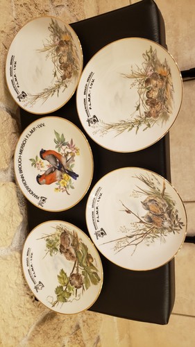 Assiettes motifs oiseaux en - 5,