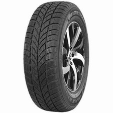 KIT 2 PNEUS MAXXIS WP 05 ARCTICTREKKER 175 60 R 15 81 T