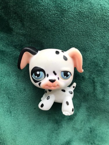 Petshop chien dalmatien - 💖petshop,