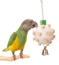 Cork Orb Small Parrot Toy -