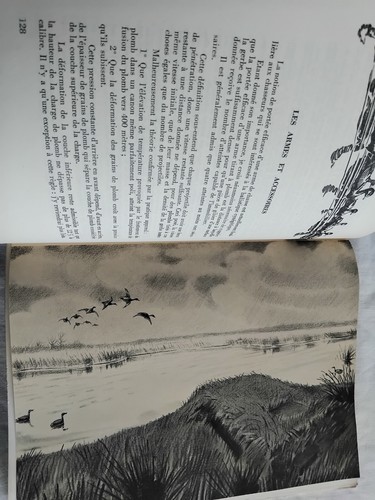 Chasse des canards 1953 - des,