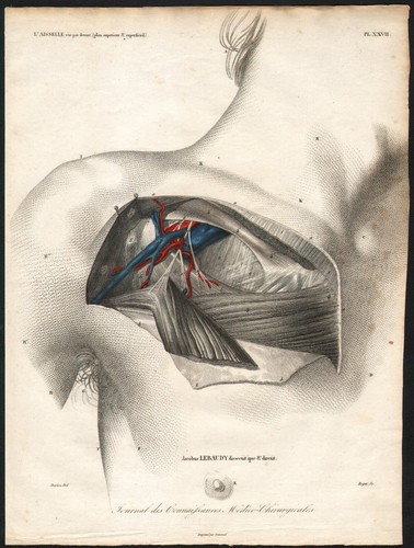 1835 gravure originale - gravure,