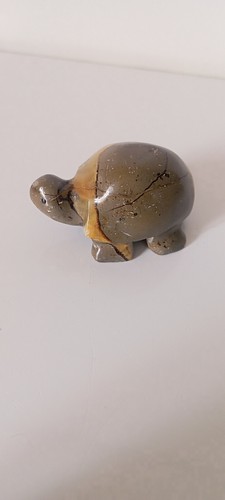 100g tortue septaria - 100g,