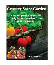 Grocery Store Garden: How to