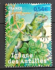 Timbre Iguane Des Antilles N° 4033 Neuf** 2007