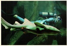 Aquarium de la Rochelle -