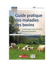 Guide pratique des maladies