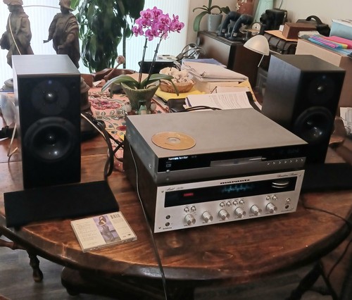 Pair totem acoustic - pair,
