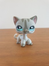 Littlest PET SHOP - Authentic #468 /792 Chat Européen cat Hasbro petshop LPS