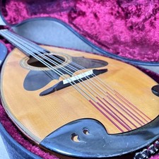 Instrument à cordes mandola