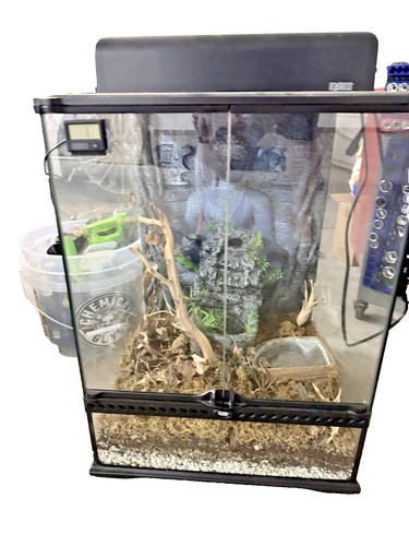 Exo terra 18x18x24 glass - 18x18x24,