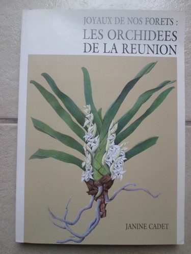 Les orchidees reunion - la,