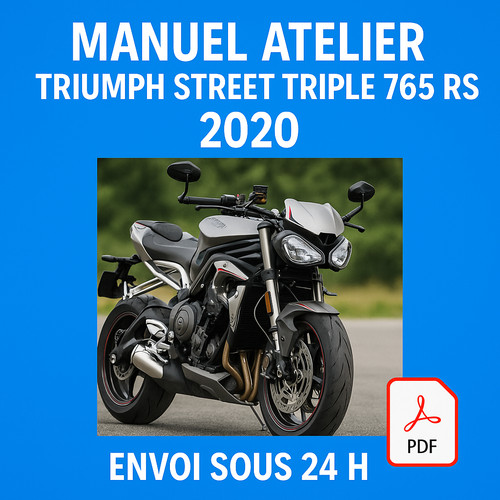 Manuel atelier triumph - atelier,