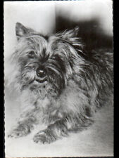 MONTREUIL-sous-BOIS 93 CAIRN TERRIER / LABORATOIRE PHARMACEUTIQUE "ROLAND-MARIE"