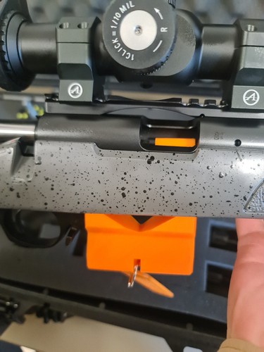 Ruger precision rimfire - 6.5,