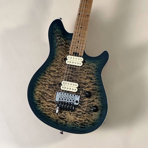 Evh wolfgang special - special, qm
