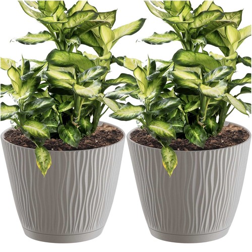 Pot fleurs de - x,