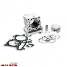 Cylindre Malossi pour Moto Beta 125 RR Enduro 2T 2008 à 2017 Neuf