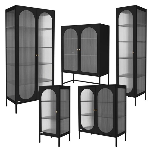 Vitrine bibliothèque armoire