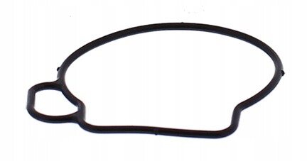 Yamaha ttr50 carburettor float - ttr50,