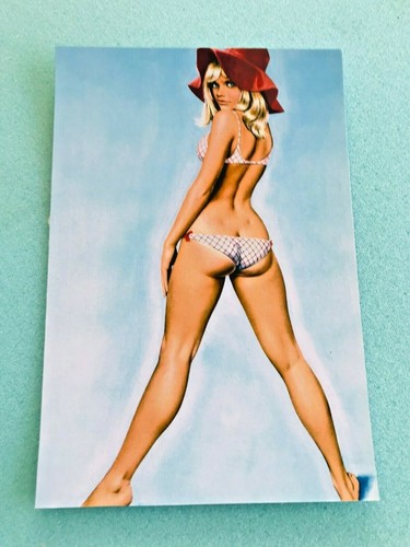 Carte postale 15x10 - postale,