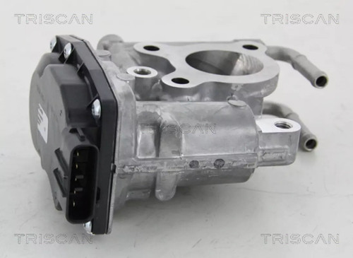 Vanne egr triscan - triscan, 8813