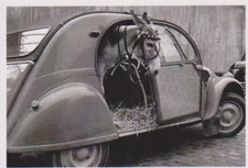 CITROEN 2CV - 2 CV AVEC ANE - CARTE POSTALE 10 X 15 CM