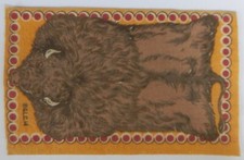 BISON ANIMAL PELT Premium Felt