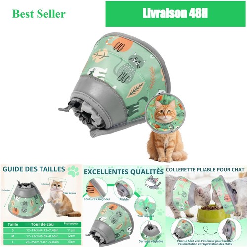 Collerette chat anti léchage - collerette,