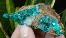 Dioptase & Calcite & Shattuckite Kambove 8.5x3.5cm Congo minéral collection vert