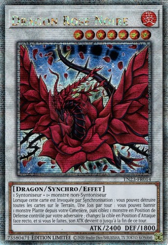 Dragon rose noire - dragon,