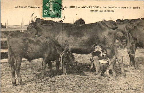 Cantal pittoresque la - 15,