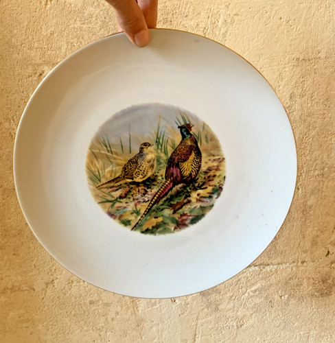 Assiette porcelaine décor - en,