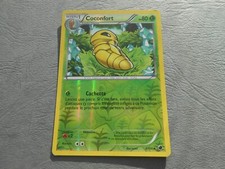 Carte Pokémon Noir & Blanc -