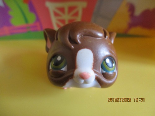 Petshop cochon inde 4 - d'inde, #4