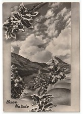 Joyeux Noël Photo Carte